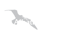 apartamenty albatrosow logo